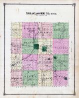 Shiawassee County Map, Shiawassee County 1875